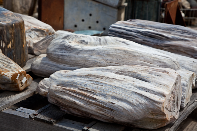 Free form polished petrified wood.  Indonesia