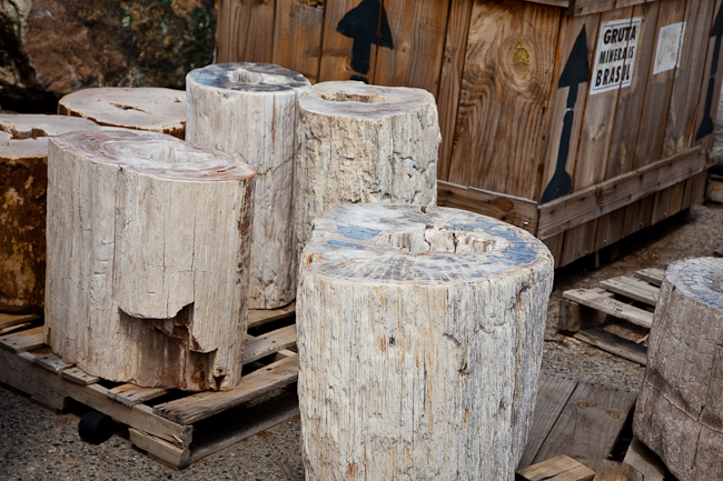Petrified wood pedestals.  Indonesia