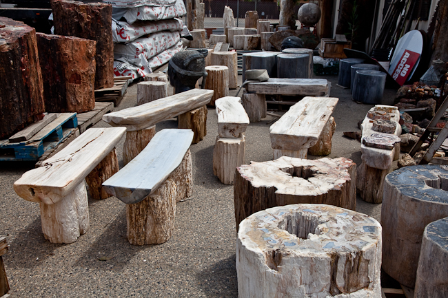 Assorted petrified pedestals and petrified benches.  Indonesia